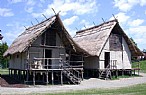 immagine Parco Archeologico e Museo all'aperto della Terramara di Montale