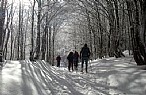 immagine Sci di Fondo alle Piane