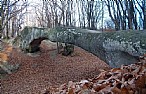 immagine Ponte del Diavolo