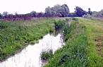 immagine Fossato