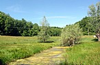 immagine Il paesaggio della Riserva