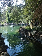 immagine Giardino Ducale Estense