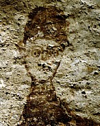 immagine Graffito di Messere Filippo