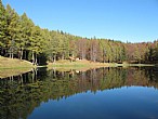 immagine Lago della Ninfa