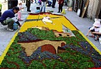 immagine Infiorata