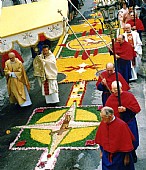immagine Infiorata
