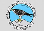 immagine Riserva Naturale di Sassoguidano