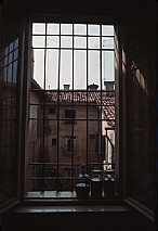 immagine Nocino