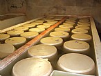 immagine Parmigiano-Reggiano
