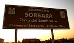 immagine Festa del Lambrusco di Sorbara