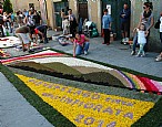 immagine Infiorata 2014