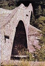 immagine Vista prospettica del ponte