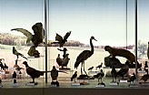 Cem - Centro Museale Montecuccolo 