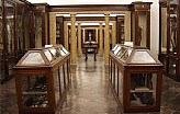 Musei Universitari - Musei Anatomici 