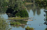 Riserva Naturale orientata Casse di Espansione del fiume Secchia