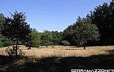 Faeto 