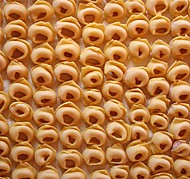 Immagine corrente