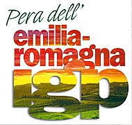 Immagine corrente