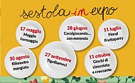 Immagine corrente